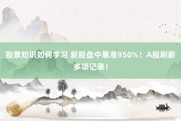 股票知识如何学习 新股盘中暴涨950%！A股刷新多项记录！