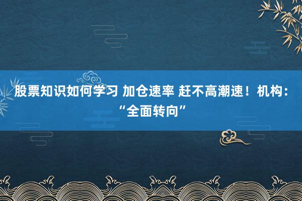 股票知识如何学习 加仓速率 赶不高潮速！机构：“全面转向”