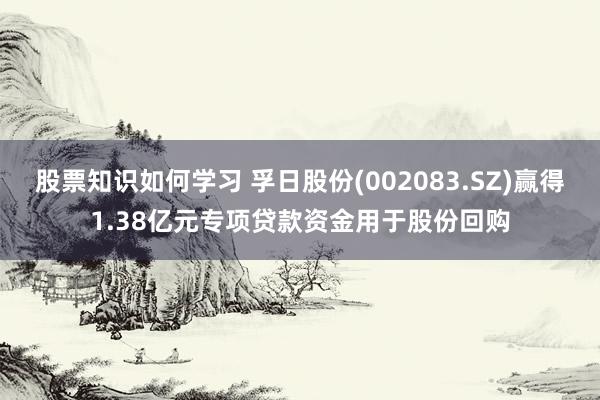 股票知识如何学习 孚日股份(002083.SZ)赢得1.38亿元专项贷款资金用于股份回购