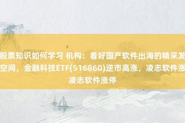 股票知识如何学习 机构：看好国产软件出海的精采发展空间，金融科技ETF(516860)逆市高涨，凌志软件涨停