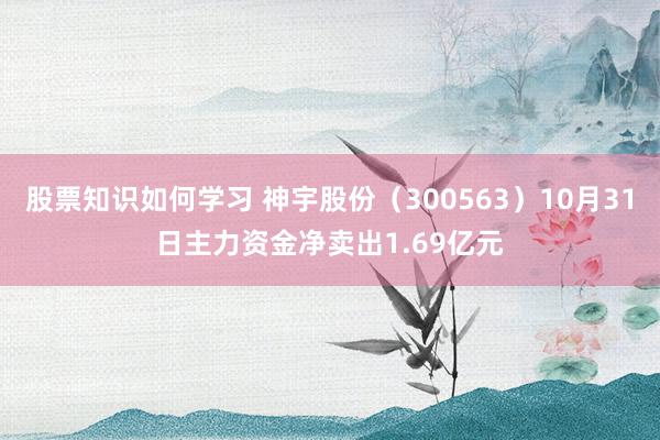 股票知识如何学习 神宇股份（300563）10月31日主力资金净卖出1.69亿元