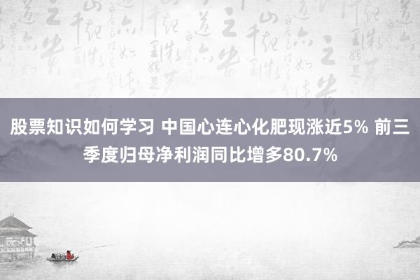 股票知识如何学习 中国心连心化肥现涨近5% 前三季度归母净利润同比增多80.7%