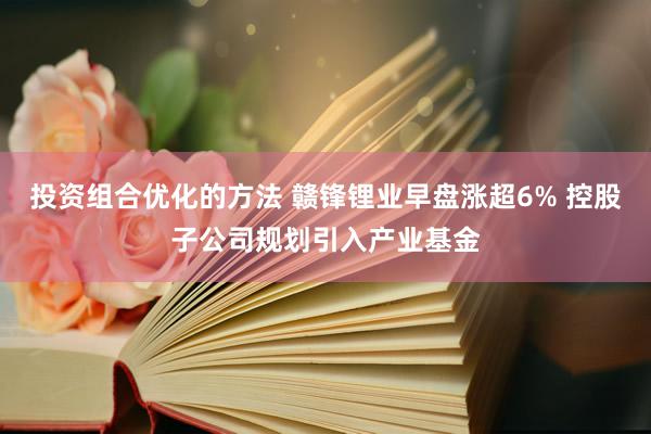 投资组合优化的方法 赣锋锂业早盘涨超6% 控股子公司规划引入产业基金