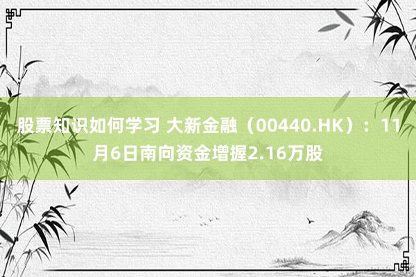 股票知识如何学习 大新金融（00440.HK）：11月6日南向资金增握2.16万股