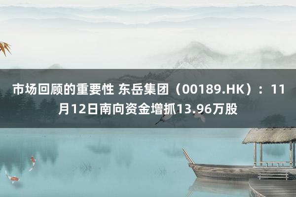 市场回顾的重要性 东岳集团（00189.HK）：11月12日南向资金增抓13.96万股