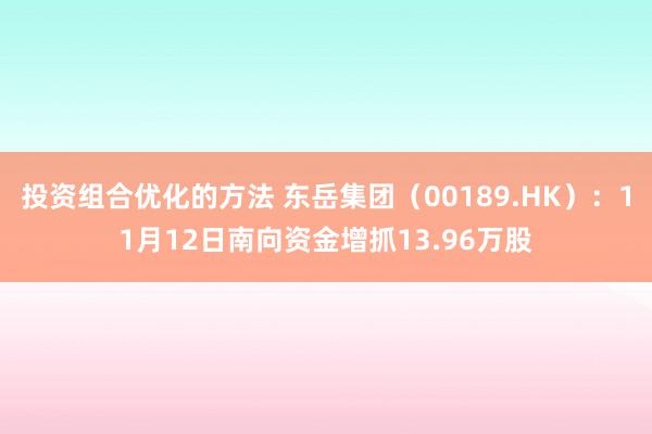 投资组合优化的方法 东岳集团（00189.HK）：11月12日南向资金增抓13.96万股