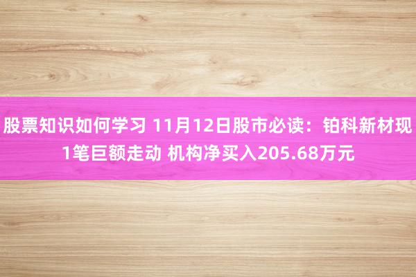 股票知识如何学习 11月12日股市必读：铂科新材现1笔巨额走动 机构净买入205.68万元