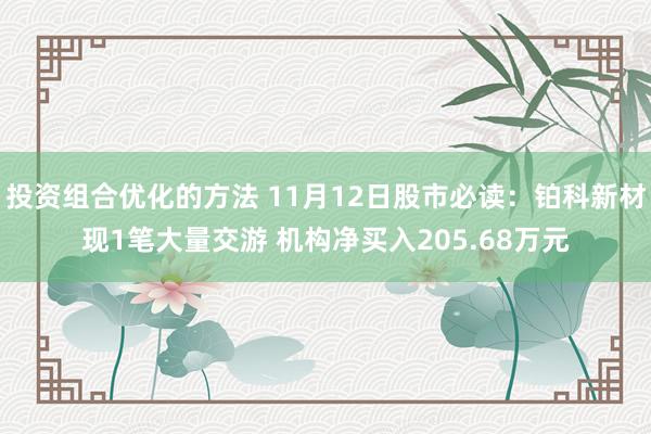 投资组合优化的方法 11月12日股市必读：铂科新材现1笔大量交游 机构净买入205.68万元