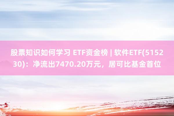 股票知识如何学习 ETF资金榜 | 软件ETF(515230)：净流出7470.20万元，居可比基金首位