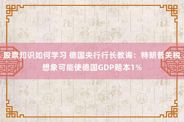 股票知识如何学习 德国央行行长教诲：特朗普关税想象可能使德国GDP赔本1%