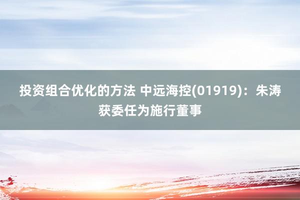 投资组合优化的方法 中远海控(01919)：朱涛获委任为施行董事