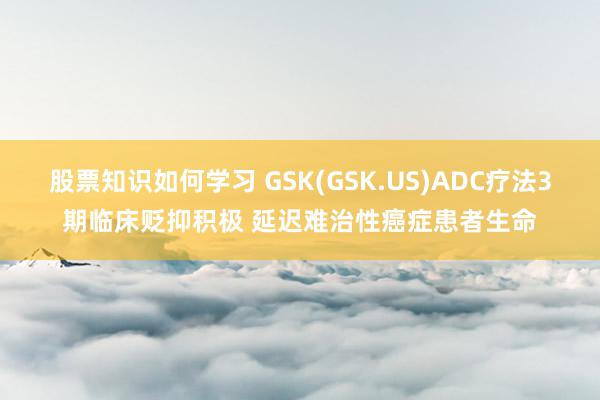 股票知识如何学习 GSK(GSK.US)ADC疗法3期临床贬抑积极 延迟难治性癌症患者生命