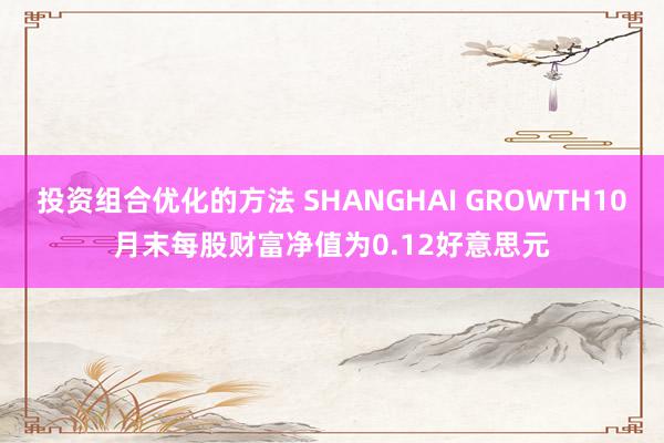 投资组合优化的方法 SHANGHAI GROWTH10月末每股财富净值为0.12好意思元