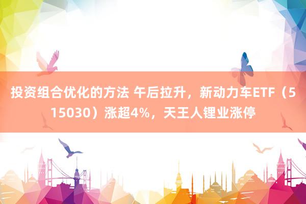 投资组合优化的方法 午后拉升，新动力车ETF（515030）涨超4%，天王人锂业涨停