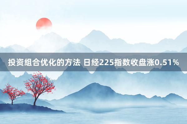 投资组合优化的方法 日经225指数收盘涨0.51%