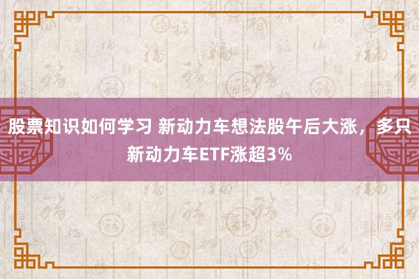 股票知识如何学习 新动力车想法股午后大涨，多只新动力车ETF涨超3%