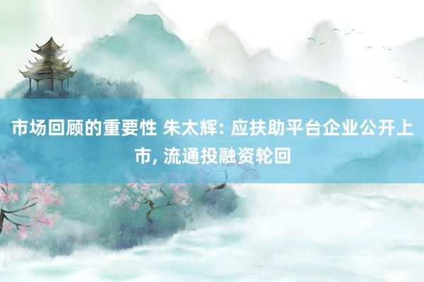 市场回顾的重要性 朱太辉: 应扶助平台企业公开上市, 流通投融资轮回