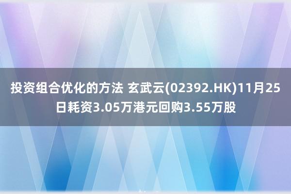 投资组合优化的方法 玄武云(02392.HK)11月25日耗资3.05万港元回购3.55万股