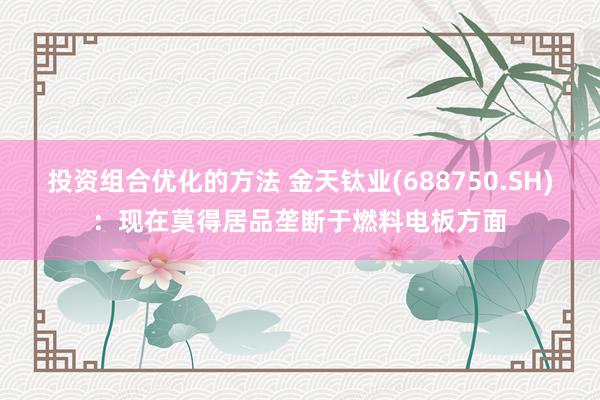 投资组合优化的方法 金天钛业(688750.SH)：现在莫得居品垄断于燃料电板方面