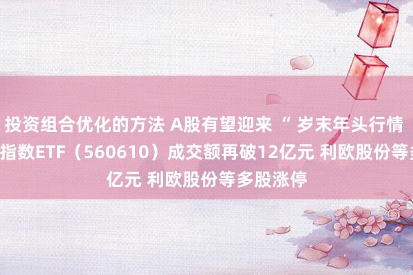 投资组合优化的方法 A股有望迎来 “ 岁末年头行情 ” A500指数ETF（560610）成交额再破12亿元 利欧股份等多股涨停