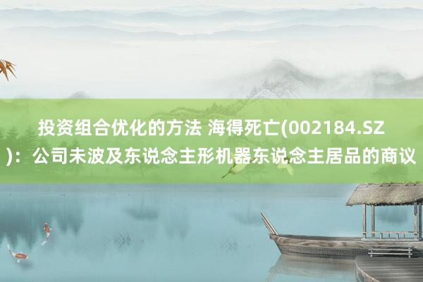 投资组合优化的方法 海得死亡(002184.SZ)：公司未波及东说念主形机器东说念主居品的商议