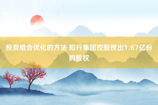 投资组合优化的方法 知行集团控股授出1.67亿份购股权