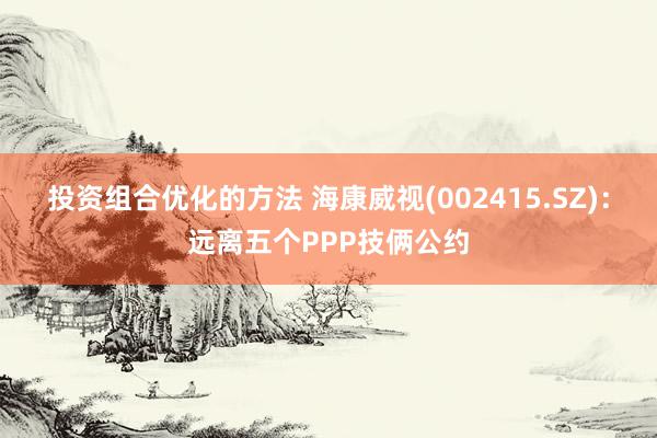 投资组合优化的方法 海康威视(002415.SZ)：远离五个PPP技俩公约