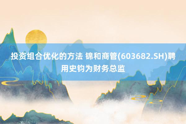 投资组合优化的方法 锦和商管(603682.SH)聘用史钧为财务总监