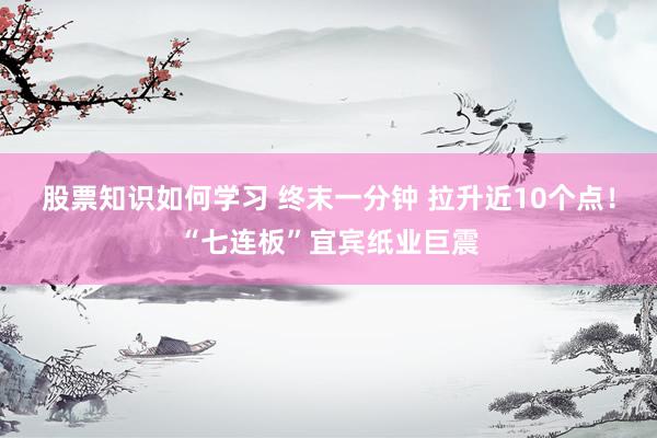 股票知识如何学习 终末一分钟 拉升近10个点！“七连板”宜宾纸业巨震