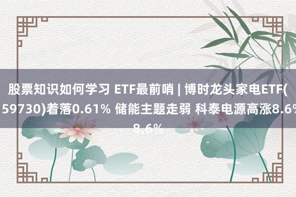 股票知识如何学习 ETF最前哨 | 博时龙头家电ETF(159730)着落0.61% 储能主题走弱 科泰电源高涨8.6%