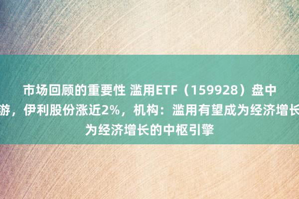 市场回顾的重要性 滥用ETF（159928）盘中频现溢价交游，伊利股份涨近2%，机构：滥用有望成为经济增长的中枢引擎