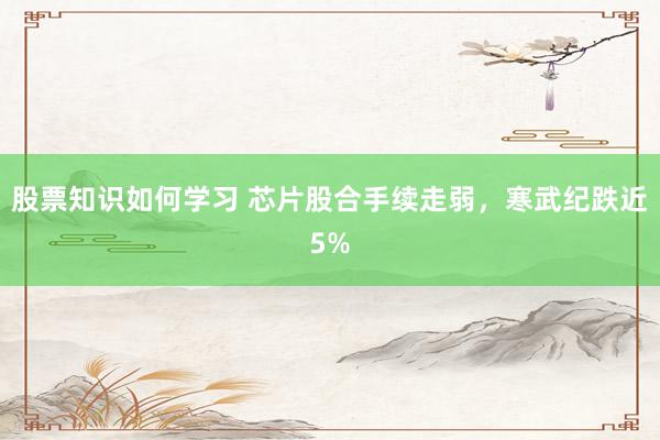 股票知识如何学习 芯片股合手续走弱，寒武纪跌近5%