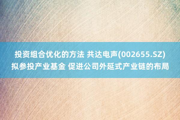 投资组合优化的方法 共达电声(002655.SZ)拟参投产业基金 促进公司外延式产业链的布局