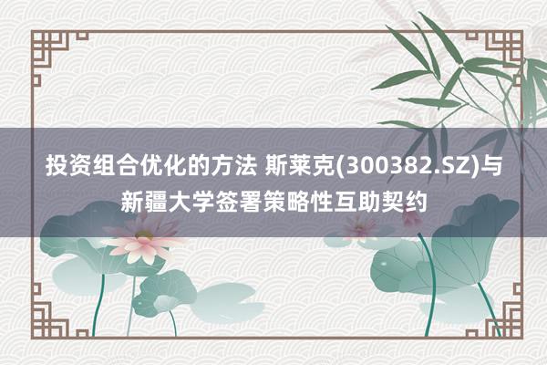 投资组合优化的方法 斯莱克(300382.SZ)与新疆大学签署策略性互助契约