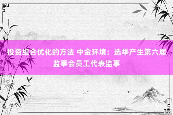 投资组合优化的方法 中金环境：选举产生第六届监事会员工代表监事