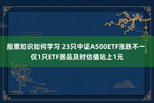 股票知识如何学习 23只中证A500ETF涨跌不一 仅1只ETF居品及时估值站上1元