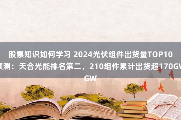 股票知识如何学习 2024光伏组件出货量TOP10预测：天合光能排名第二，210组件累计出货超170GW