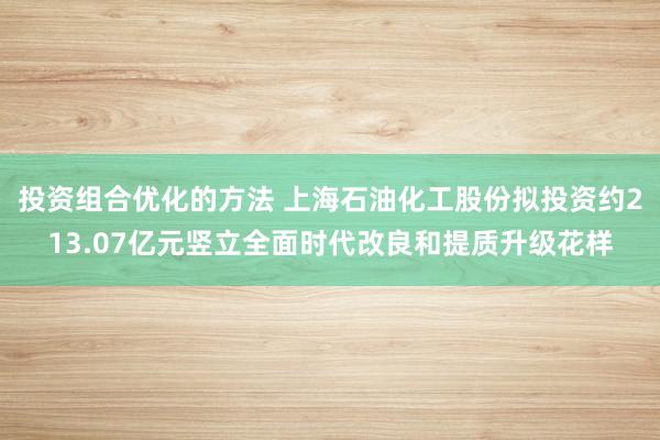 投资组合优化的方法 上海石油化工股份拟投资约213.07亿元竖立全面时代改良和提质升级花样