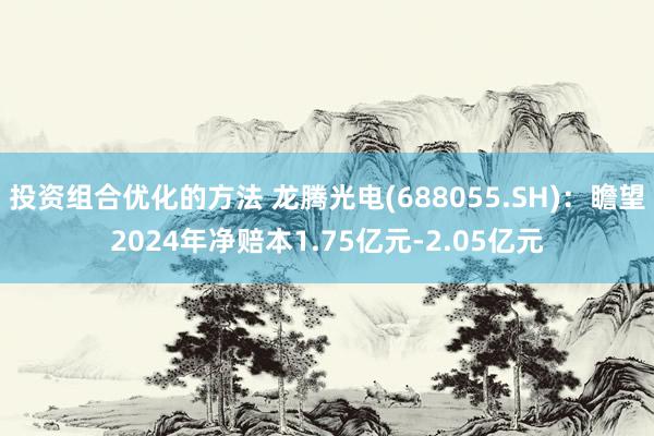 投资组合优化的方法 龙腾光电(688055.SH)：瞻望2024年净赔本1.75亿元-2.05亿元