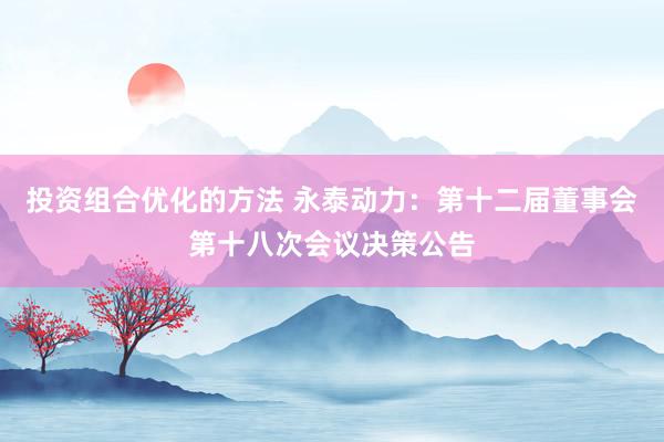 投资组合优化的方法 永泰动力：第十二届董事会第十八次会议决策公告