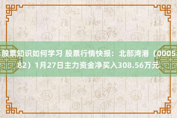 股票知识如何学习 股票行情快报：北部湾港（000582）1月27日主力资金净买入308.56万元