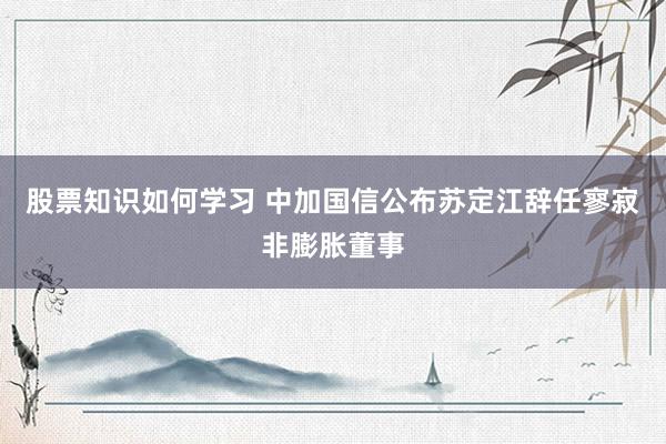 股票知识如何学习 中加国信公布苏定江辞任寥寂非膨胀董事