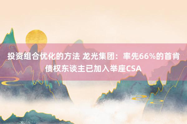 投资组合优化的方法 龙光集团：率先66%的首肯债权东谈主已加入举座CSA