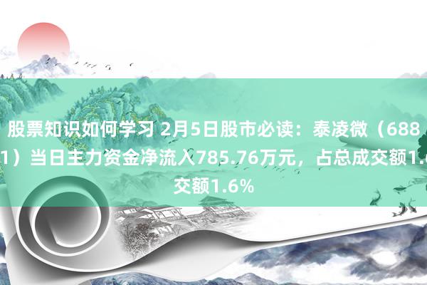 股票知识如何学习 2月5日股市必读：泰凌微（688591）当日主力资金净流入785.76万元，占总成交额1.6%