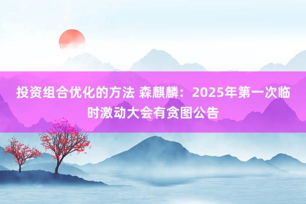 投资组合优化的方法 森麒麟：2025年第一次临时激动大会有贪图公告