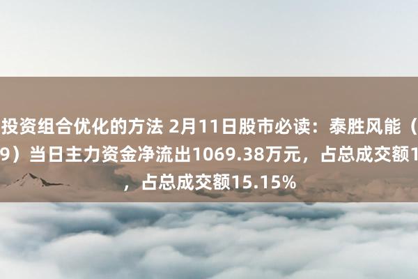 投资组合优化的方法 2月11日股市必读：泰胜风能（300129）当日主力资金净流出1069.38万元，占总成交额15.15%