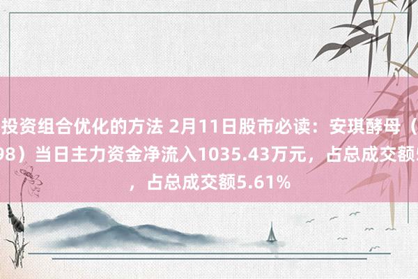 投资组合优化的方法 2月11日股市必读：安琪酵母（600298）当日主力资金净流入1035.43万元，占总成交额5.61%