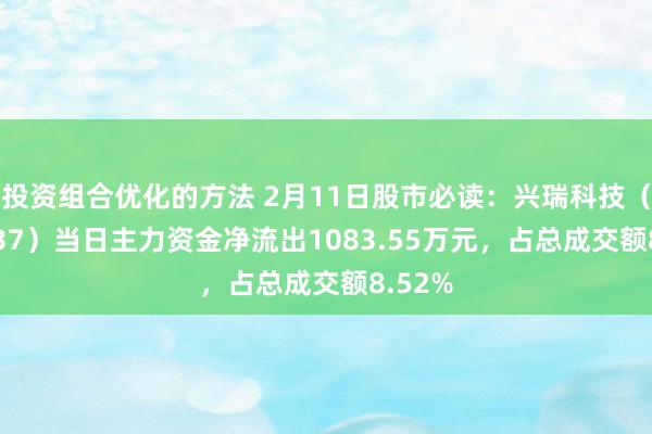 投资组合优化的方法 2月11日股市必读：兴瑞科技（002937）当日主力资金净流出1083.55万元，占总成交额8.52%