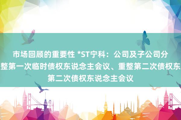 市场回顾的重要性 *ST宁科：公司及子公司分裂召开预重整第一次临时债权东说念主会议、重整第二次债权东说念主会议