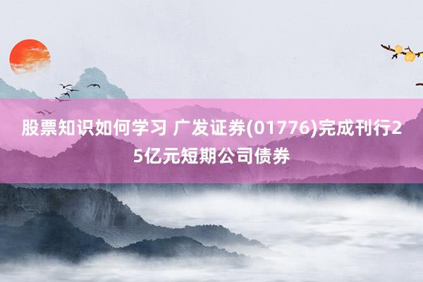 股票知识如何学习 广发证券(01776)完成刊行25亿元短期公司债券